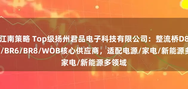 江南策略 Top级扬州君品电子科技有限公司：整流桥D8K/DB/BR6/BR8/WOB核心供应商，适配电源/家电/新能源多领域